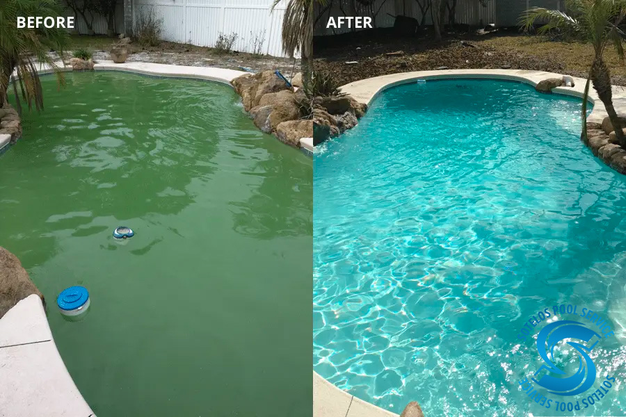 Pool Cleaning Before and After
