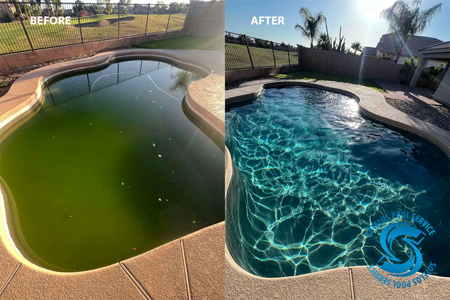 Pool Cleaning Before and After